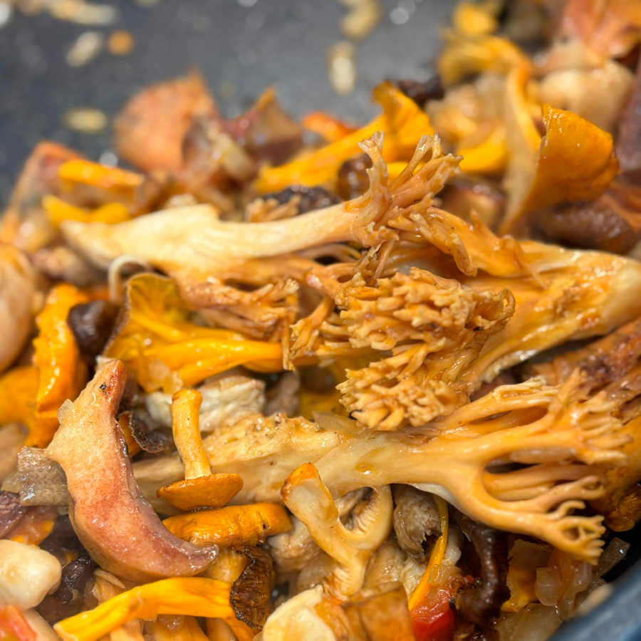 Busca i aprèn a cuinar bolets