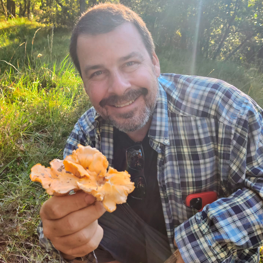 Busca i aprèn a cuinar bolets